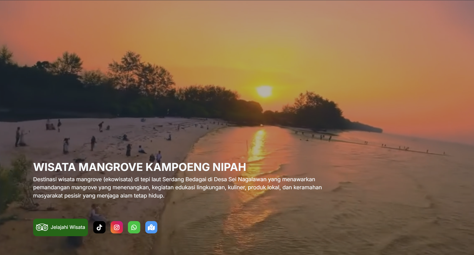 Portofolio Pembuatan Website CodesByRafly - Wisata Kampoeng Mangrove Nipah.